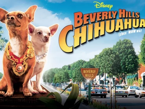 Beverly Hills Chihuahua (2008) คุณหมาไฮโซ โกบ้านนอก
