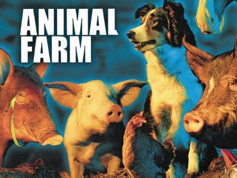 Animal Farm (1999) กองทัพ 4 ขา ท้าชนคน