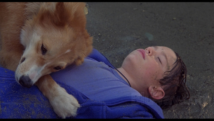 รีวิว Coco วันอลวน วิญญาณอลเวง (2017)