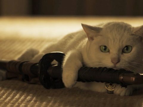 รีวิว Neko Zamurai ซามูไรเหมียว (2014)