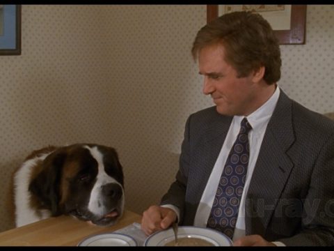 รีวิว Beethoven บีโธเฟน ชื่อนี้มีแต่ความรัก (1992)