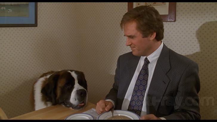 รีวิว Beethoven บีโธเฟน ชื่อนี้มีแต่ความรัก (1992)