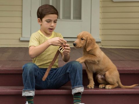 รีวิว A Dog’s Purpose (2017)