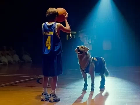 รีวิว Air Bud (1997) ไอ้หมาเล่นบาส