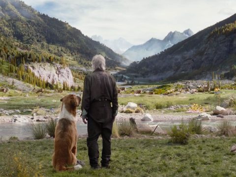 รีวิว The Call of the Wild (2020) เสียงเพรียกจากพงไพร