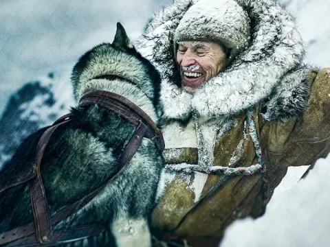 รีวิว Togo (2019)