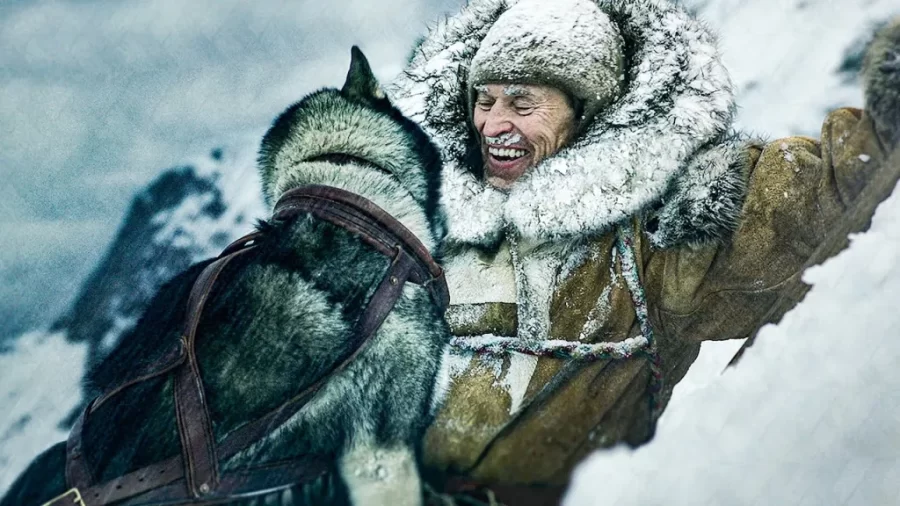 รีวิว Togo (2019)